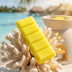 Bora Bora Wax Melt